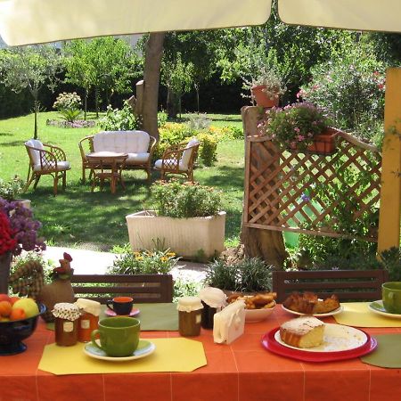 Al Piano Di Sopra Bed & Breakfast Massarosa Exterior photo